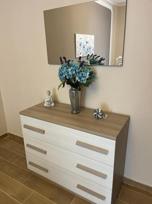 Attico Briccarello -Intero Appartamento- Elegant Suite With Free Wifi Near Inalpi Arena And Sporting Club Torino-Olimpyc Stadium Buitenkant foto